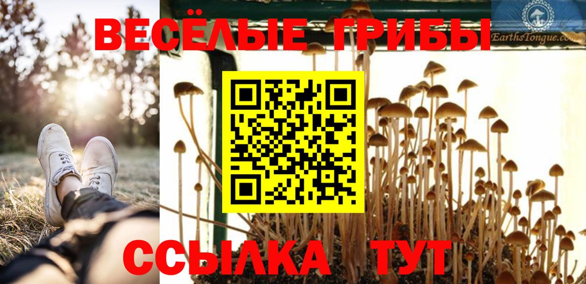 Галлюциногенные грибы GOLDEN TEACHER Владимир
