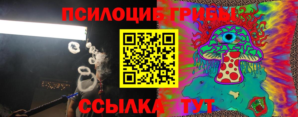 Владимир  Псилоцибиновые грибы Cubensis  Вход с VPN 
